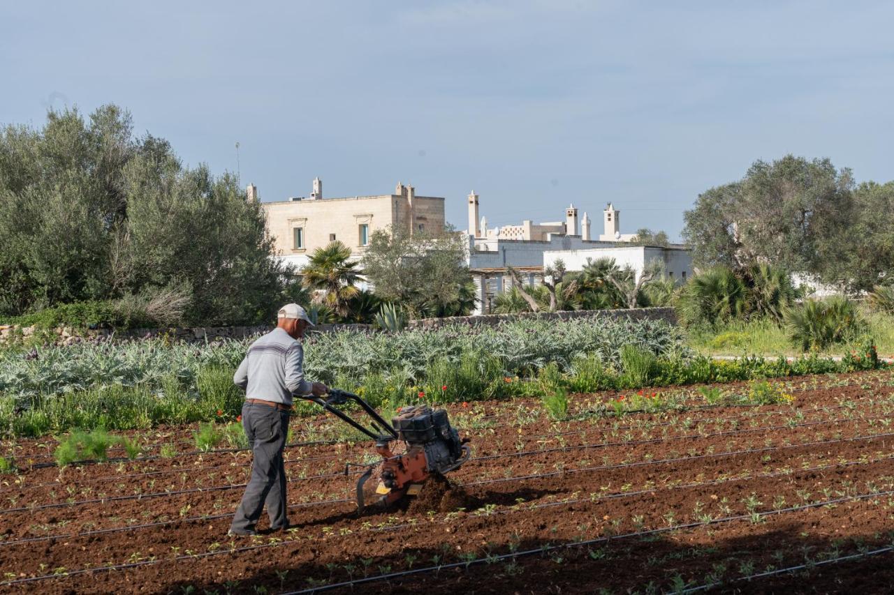 Masseria Palombara Relais & Spa - Adults Only Βίλα Manduria Εξωτερικό φωτογραφία